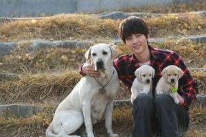 LĂBUȚE IUBITOARE (2010)